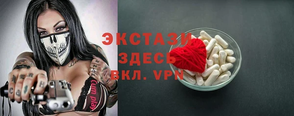 шишки Аркадак