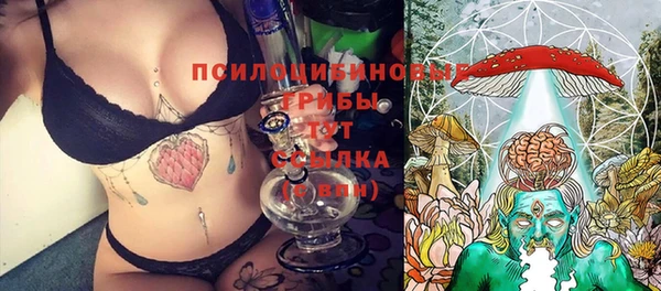 шишки Аркадак