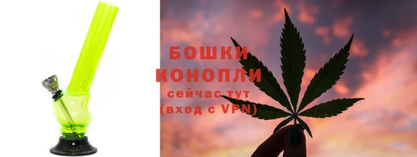 шишки Аркадак