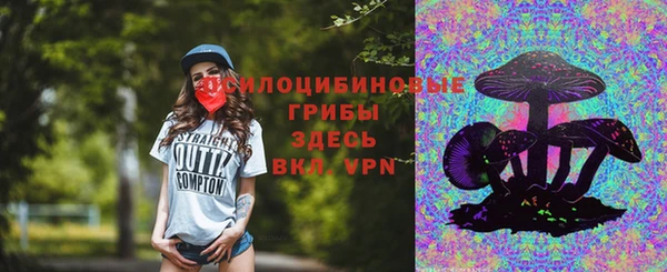 шишки Аркадак